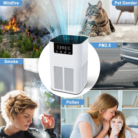 Air Purifier Smoke Odor Negative Ion Generator with Aromatherapy Air Cleaner for Household HEPA Filter Efficient Purifying Air - (Delivery estimated 2-3 Weeks)