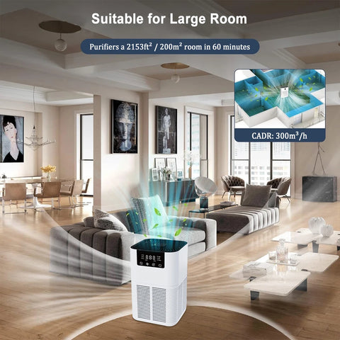 Air Purifier Smoke Odor Negative Ion Generator with Aromatherapy Air Cleaner for Household HEPA Filter Efficient Purifying Air - (Delivery estimated 2-3 Weeks)